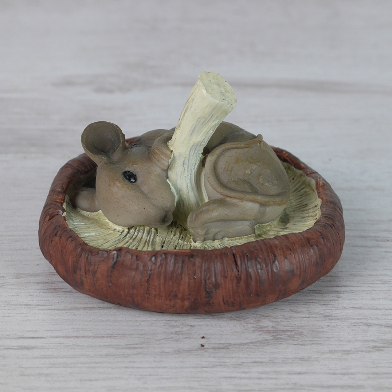 Mouse on a Mushroom