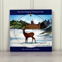 Christmas Deer Pop Out Card