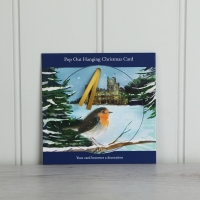 Christmas Robin Pop Out Card