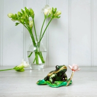 Frog on Lily Pad