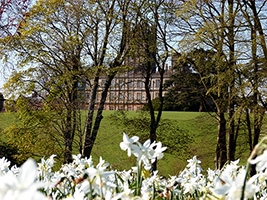 Springtime Castle Guided Tours. March 2027
